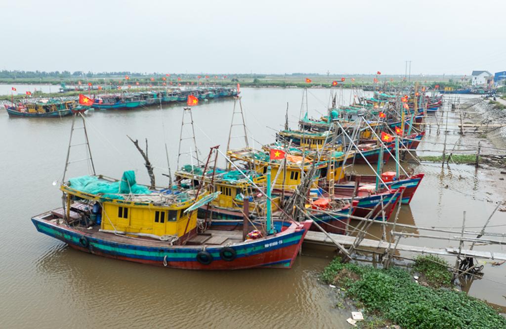 Fishing vessels anchor at Ha Lan fish port in Giao Ninh commune.