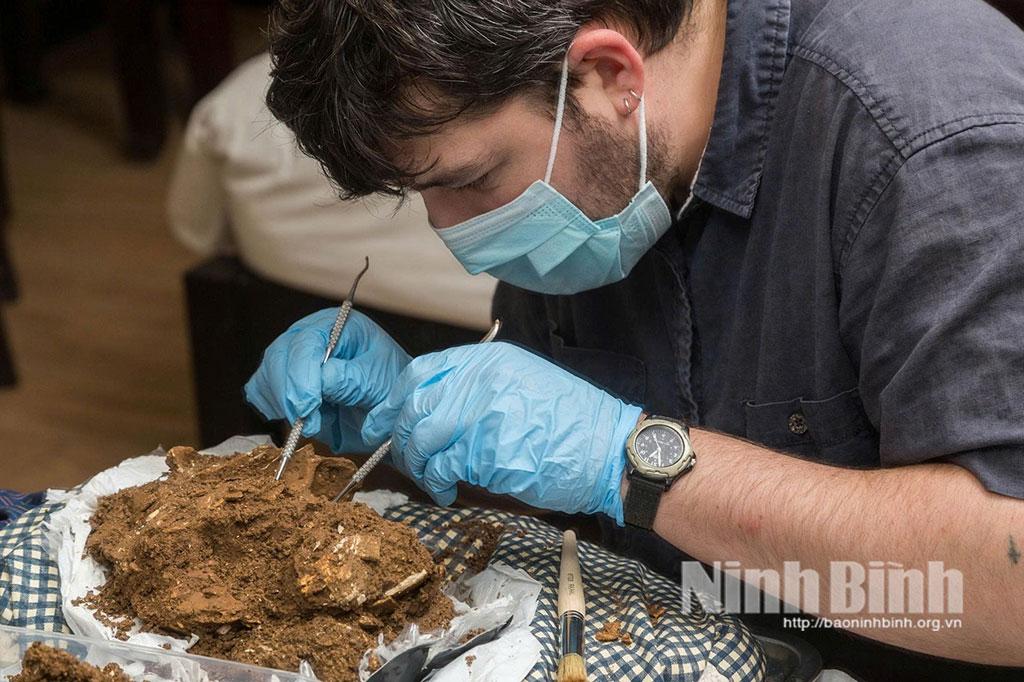 Scientist analyses the skull morphology of this skeleton.