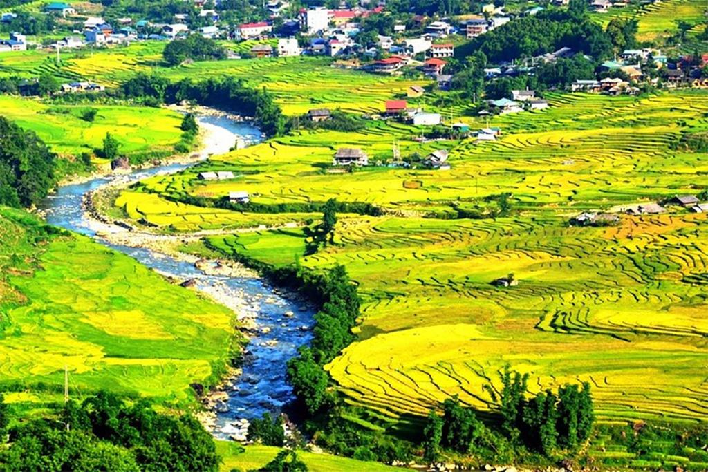 Terraced field in Sa Pa.