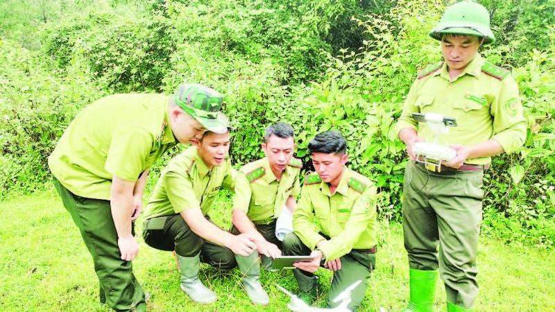 Forest rangers in Son La Province apply technological devices and software in forest management, monitoring, and protection. (Photo: NGOC TUAN)
