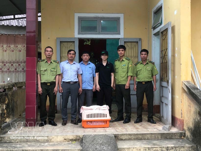 The People’s Committee of Dakrong commune in the central province of Quang Tri, in coordination with the Dakrong Forest Protection Station hand over a small-clawed otter to the Cuc Phuong National Park and the Wildlife Rescue Centre in Vietnam (Photo: VNA)