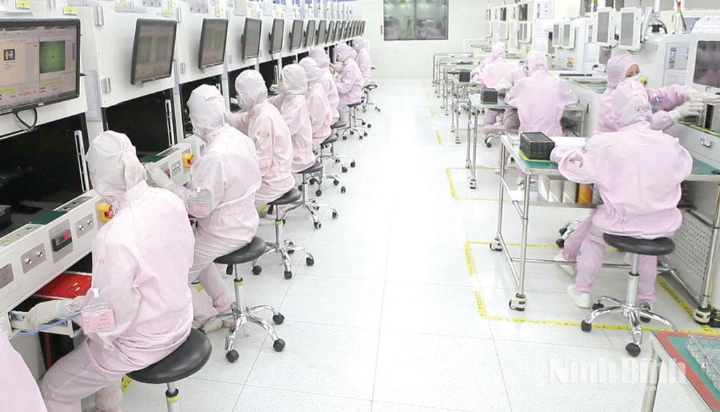 Production line of MCNEX Vina (Phuc Son industrial zone in Nam Hoa Lu ward).