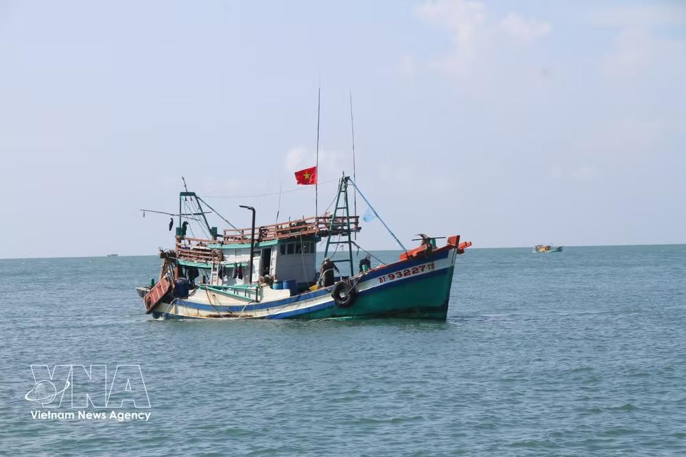 Localities have been demanded to review records of fishing vessels leaving and entering ports, ensuring sufficient and consistent data and clarifying discrepancies between archived records and information on the management system. (Illustrative photo: VNA)