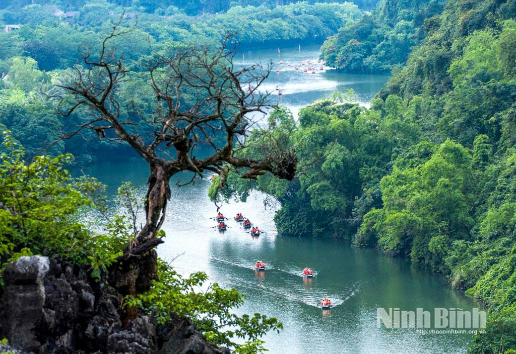 Trang An landscape.