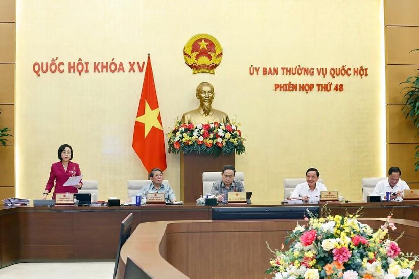 The NA Standing Committee offers opinions on the Law on Oversight Activities of the NA and People's Councils (Photo: VNA)