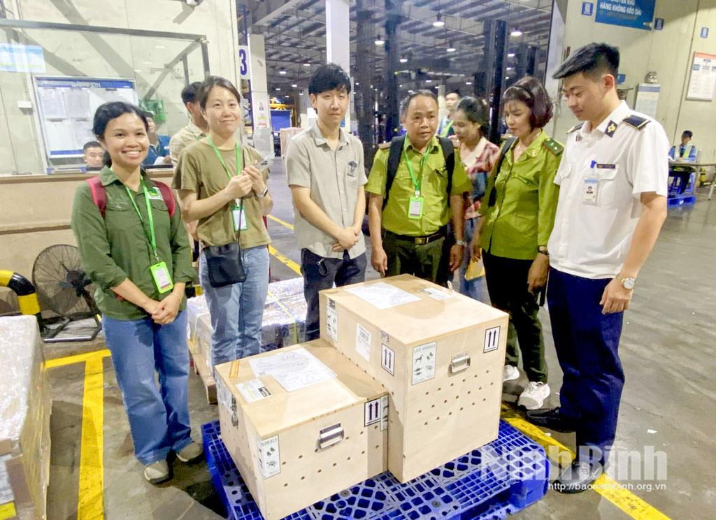 Rare turles repatriated to Cuc Phuong National Park from RoK.