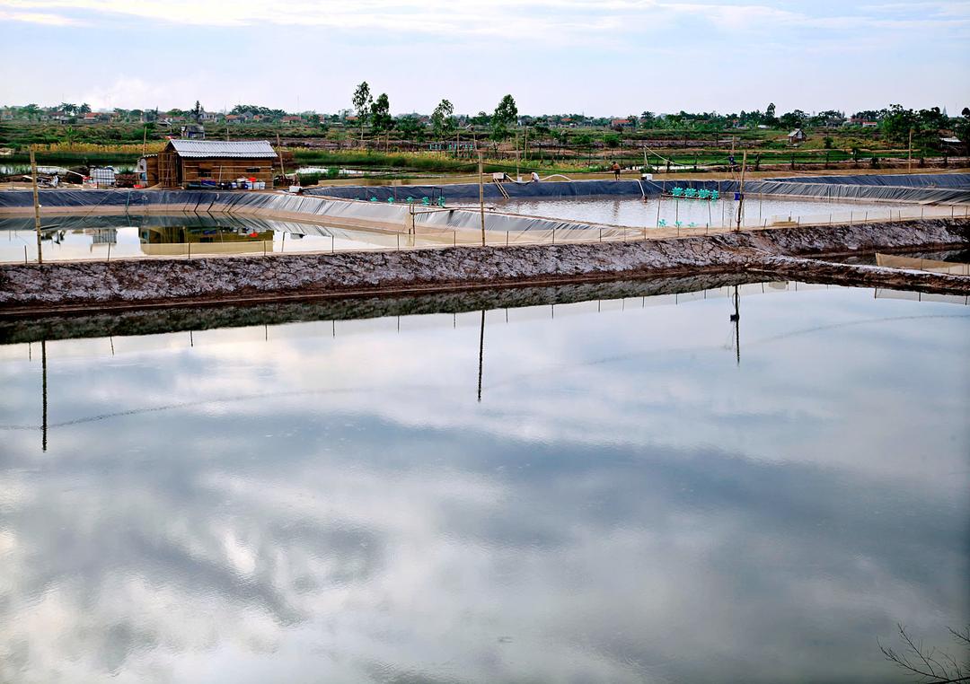 Khu vực Cồn Nổi (Kim Sơn). Ảnh: Anh Tuấn