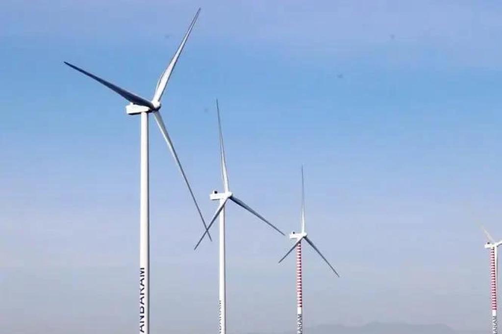 PM issues directive on accelerating national green growth strategy