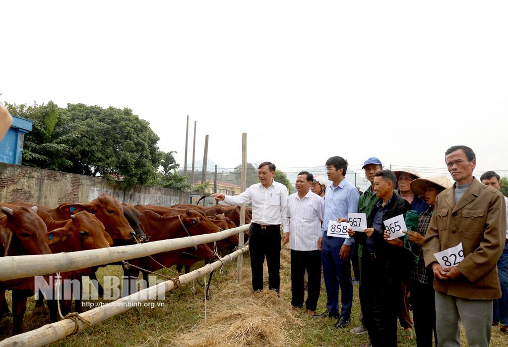 Ninh Binh makes efforts to reduce poverty