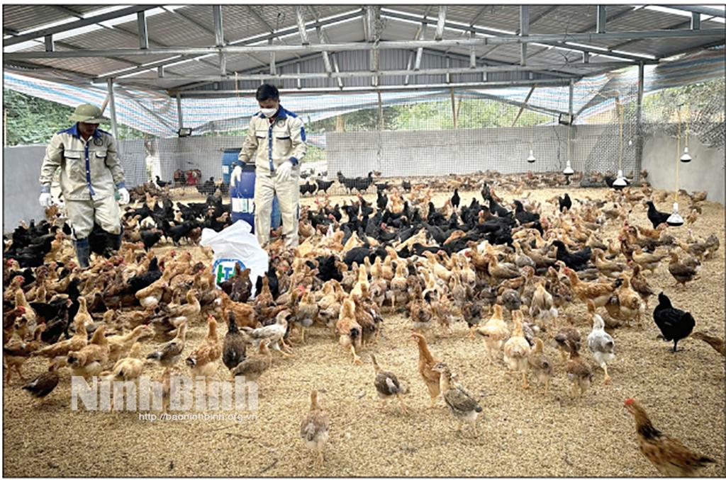 Ninh Binh’s agriculture sector records impressive growth