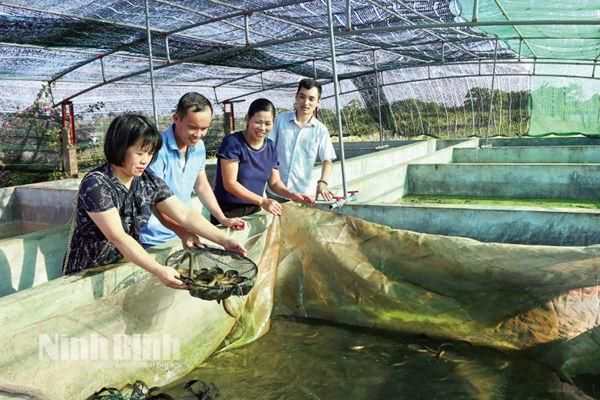 Ninh Binh’s fishery sector maintains growth momentum