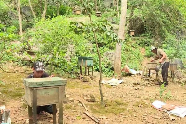 Ninh Binh enhances multi-use values of forest ecosystem