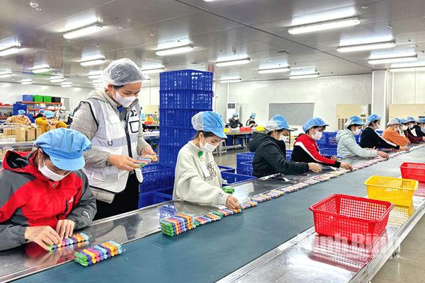 Ninh Binh province steps up industrial production