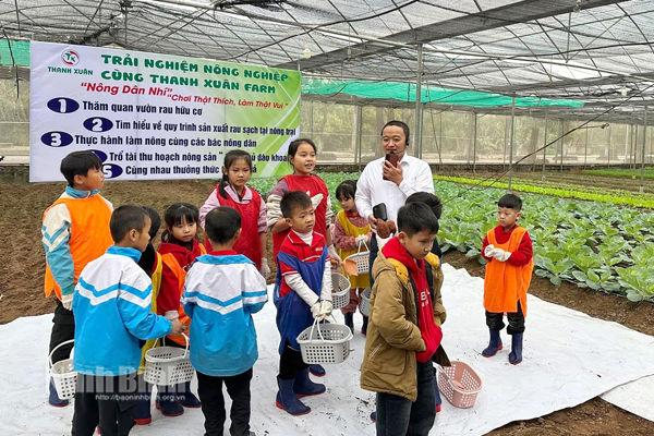 Ninh Binh’s eco-agriculture creates momentum for sustainable development