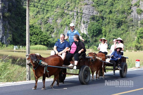 Ninh Binh tour named among world’s top 10 experiences in 2025: TripAdvisor