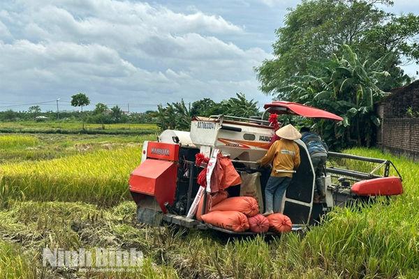 Ninh Binh steps up digital transformation to spur sustainable agricultural development