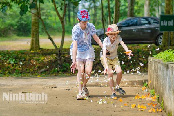 Experiencing a “chill” day in Cuc Phuong National Park during butterfly season