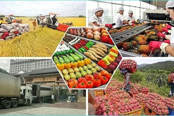 Agro-forestry-fishery export in five months top 28 billion USD