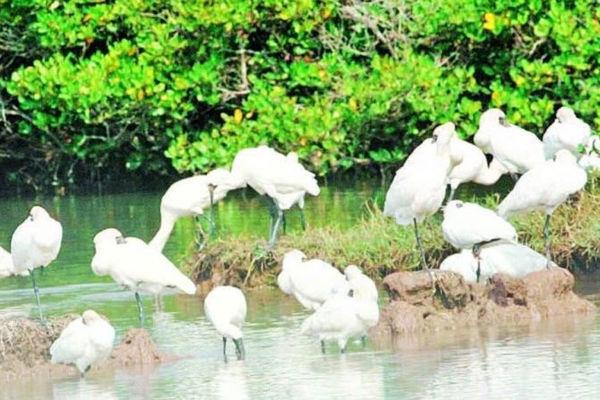 Xuan Thuy aims to become a multifunctional ASEAN heritage park