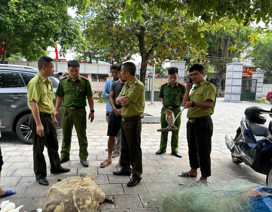 Competent agencies detect and handle acts of hunting wild birds in the Nam Hoa Lu ward.