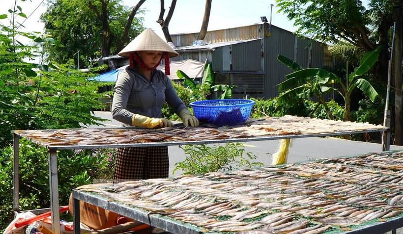 Trinh Thi Nhu Hoa, a resident of Thuong Phuoc commune, Dong Thap province starts her business producing various types of dried freshwater fish (Photo: VNA)