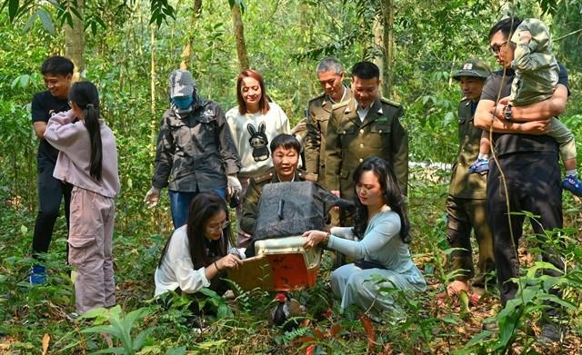 Wild animals are released back into their natural habitat. (Photo: Courtesy of Department of Forestry and Forest Protection)