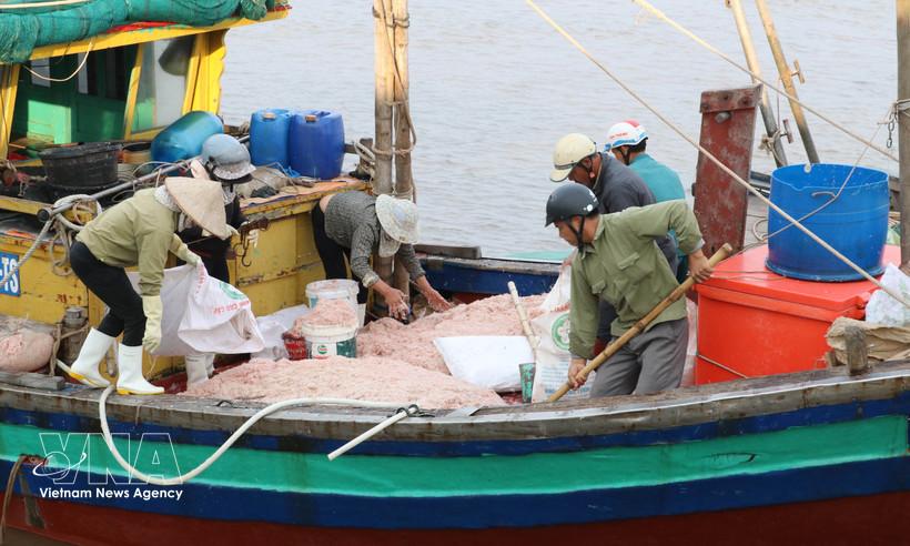 Fishing boats operating near the shore in Giao Ninh commune, Ninh Binh province (Photo: VNA)