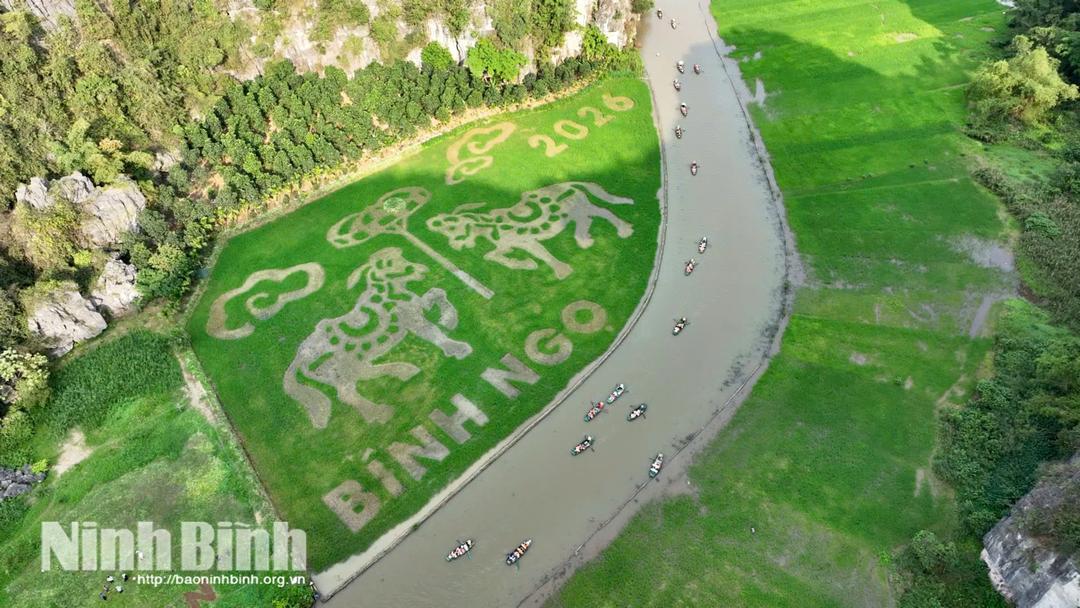 The field will be designed with the theme "Two Horses Bring Successes".