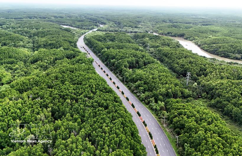 Can Gio mangrove forest in Ho Chi Minh City (Photo: VNA)