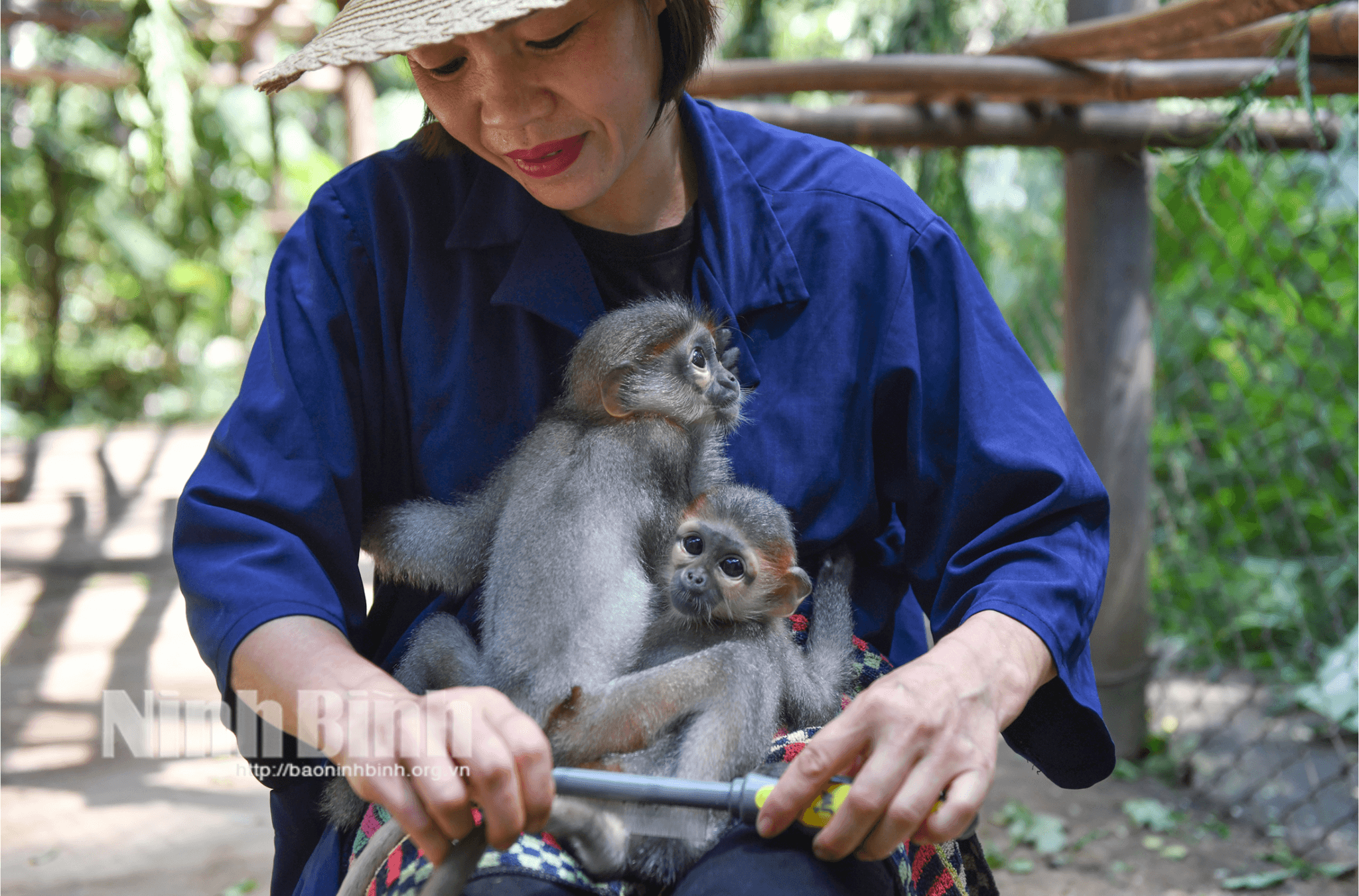 Cuc Phuong is home to an ecosystem comprising thousands of plant and animal species.