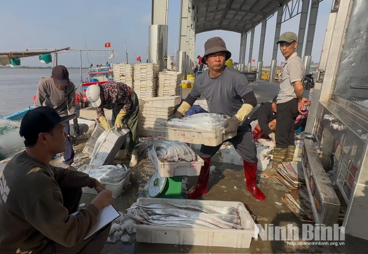 Ninh Binh steps up fight against IUU fishing to have EC’s “yellow card” lifted