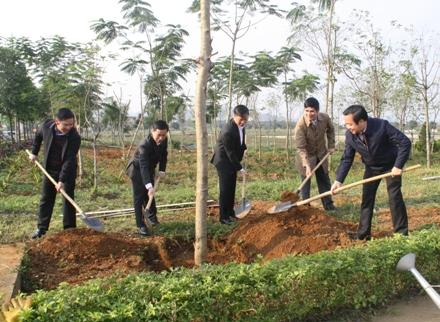 Ninh Binh plants over 243 hectares of forest in 8 months