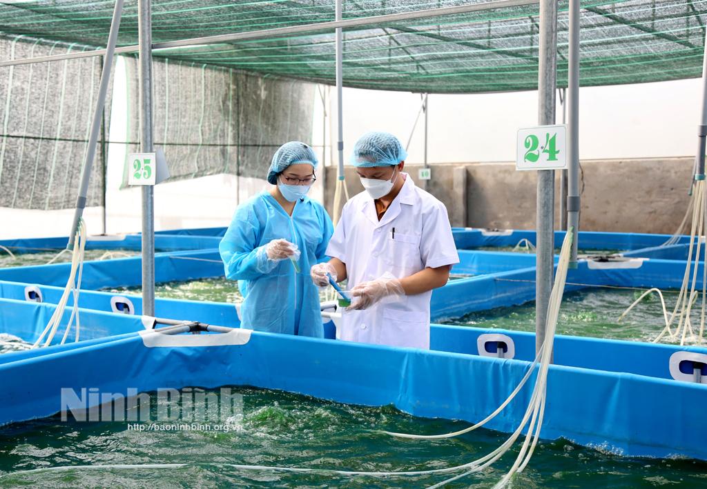 Ninh Binh applies digital technology to sell agricultural products
