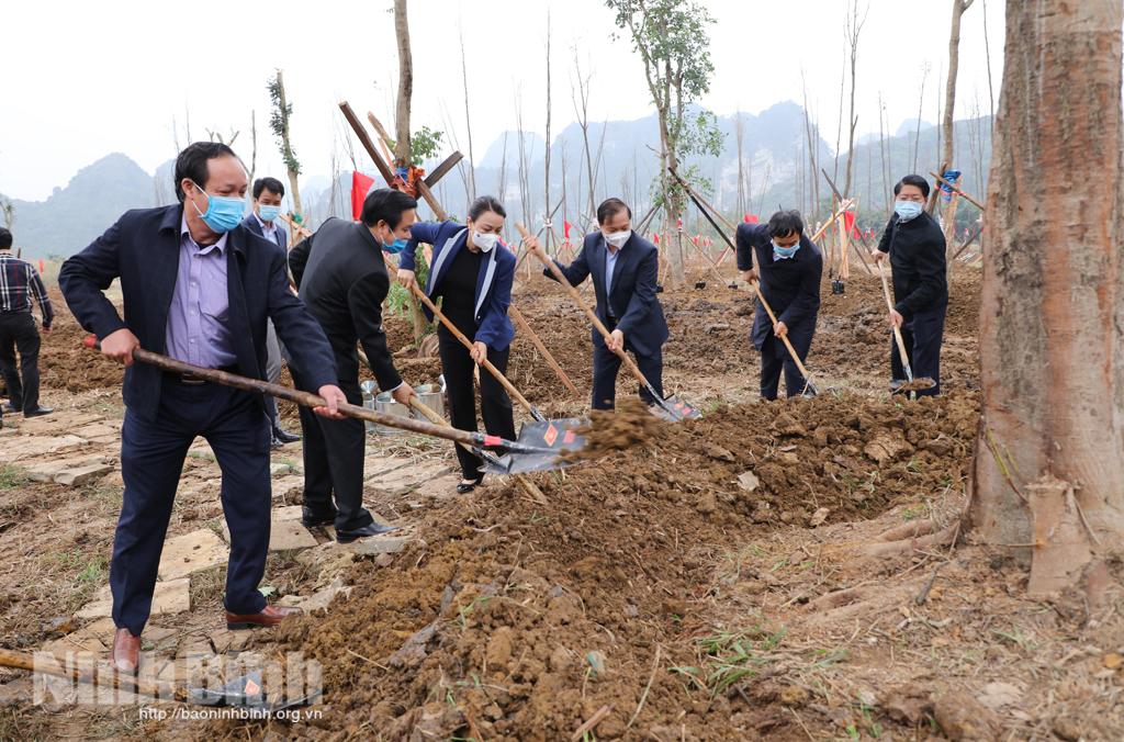 Ninh Binh launches tree-planting festival
