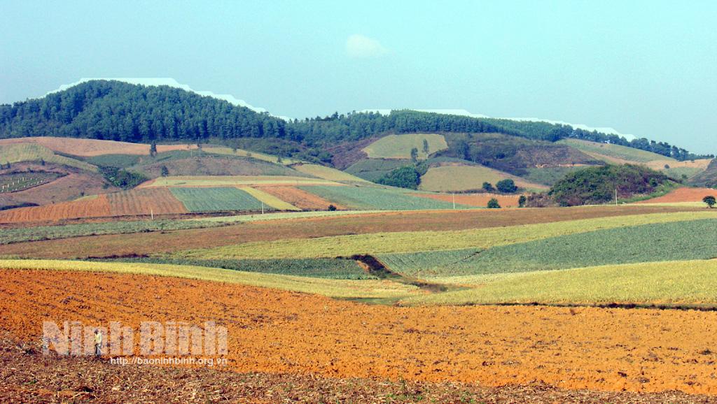 Ninh Binh works to develop typical agri-tourism