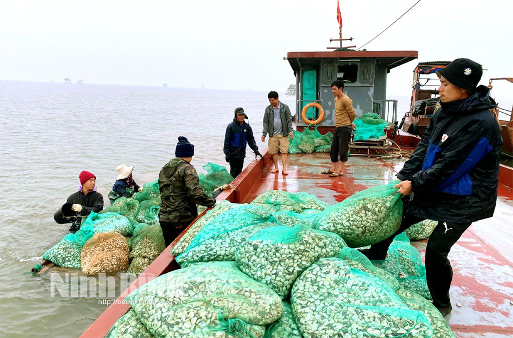 Ninh Binh boosts hi-tech application in agricultural production