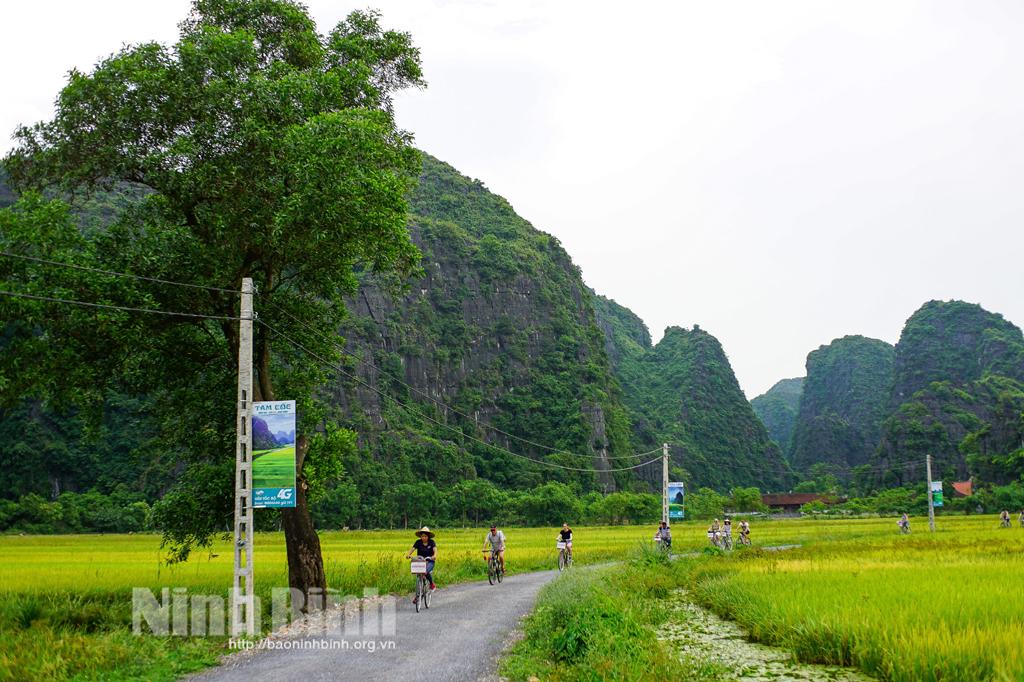 Agritourism brings new sources of income to farmers in Ninh Binh