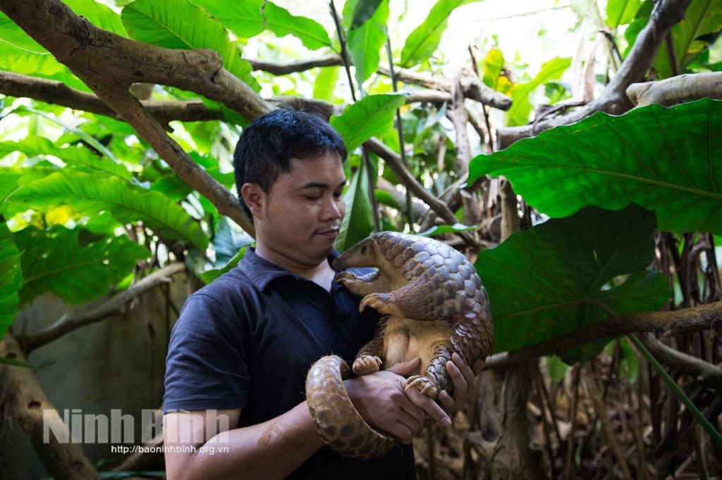 First Vietnamese elected as Vice Chairman of IUCN SSC Pangolin Specialist Group