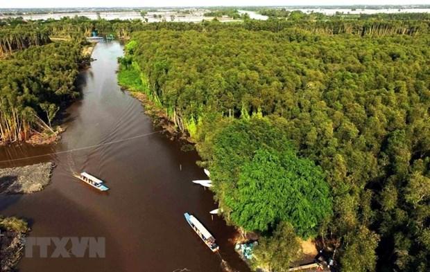World Environment Day: Vietnam preserving Mekong Delta's ecosystem