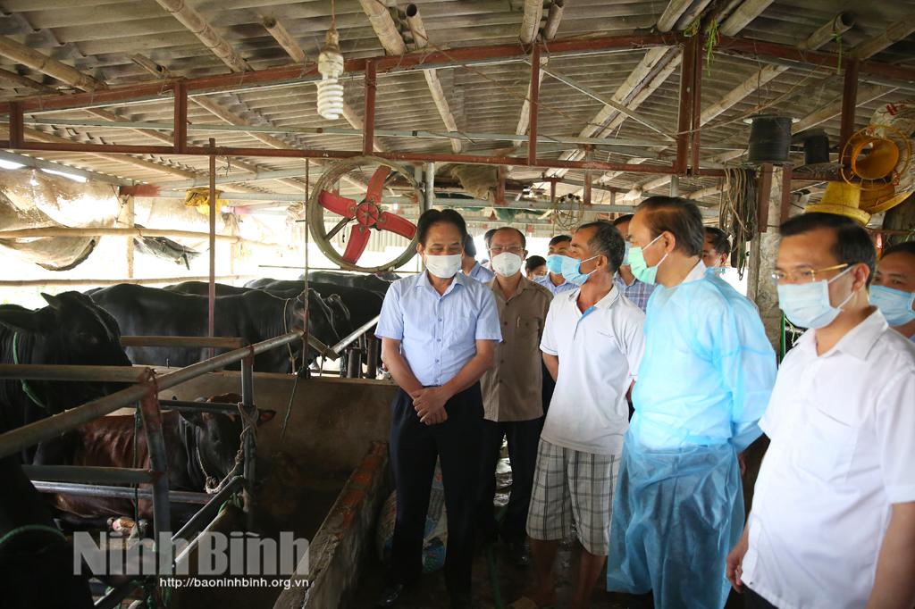 MARD delegation inspects livestock breeding in Ninh Binh
