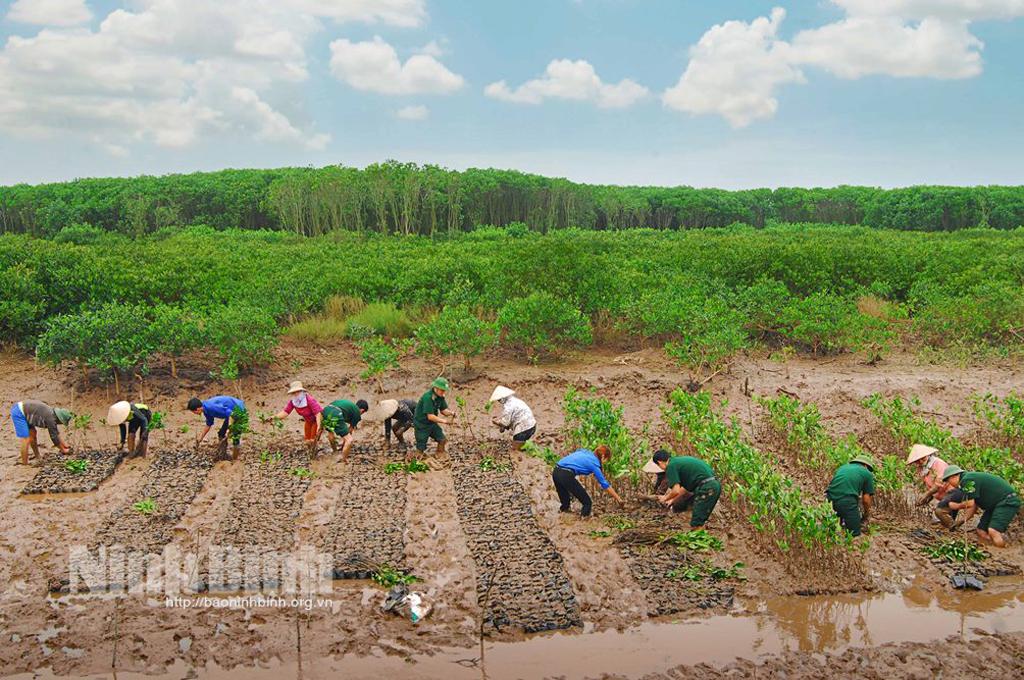 Forestry production expected to rise 5.5 percent annually in 2021-2025 period