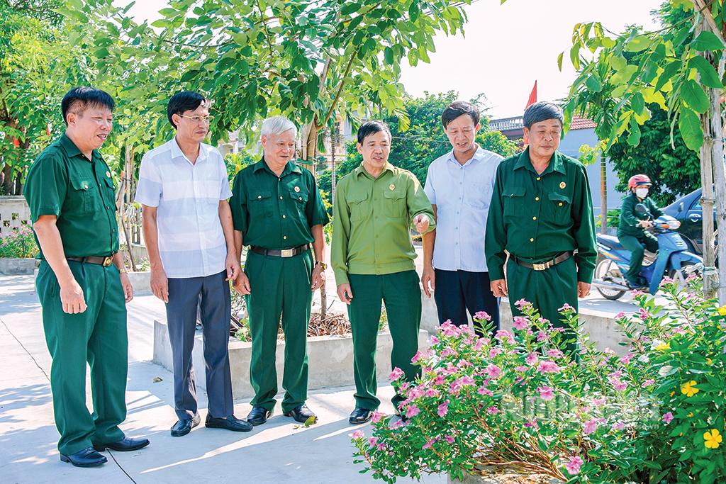 Ninh Binh's war veterans actively participate in building new-style rural areas