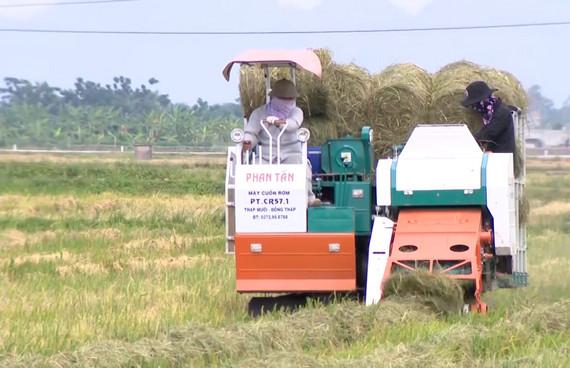 Mechanisation of agriculture in Ninh Binh reaps fruitful outcomes