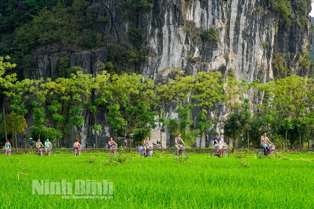 Ninh Binh reopens to international tourists from March 15
