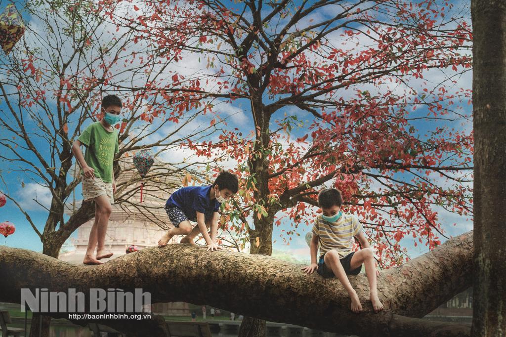 Beautiful Ninh Binh in seasonal change time