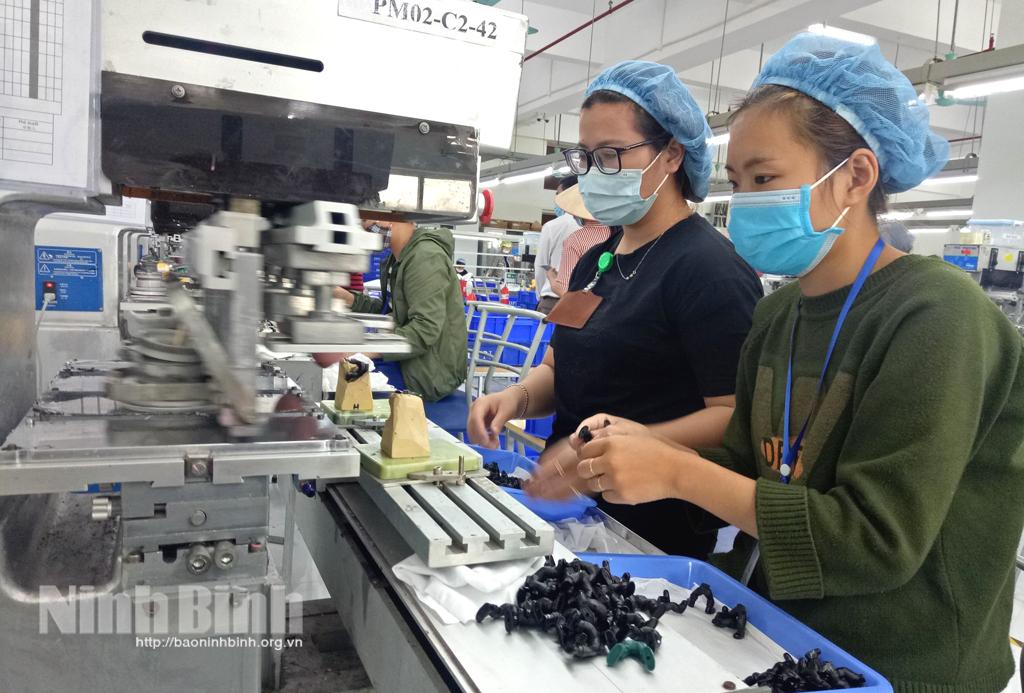 Ninh Binh overcomes difficulties to ensure social security