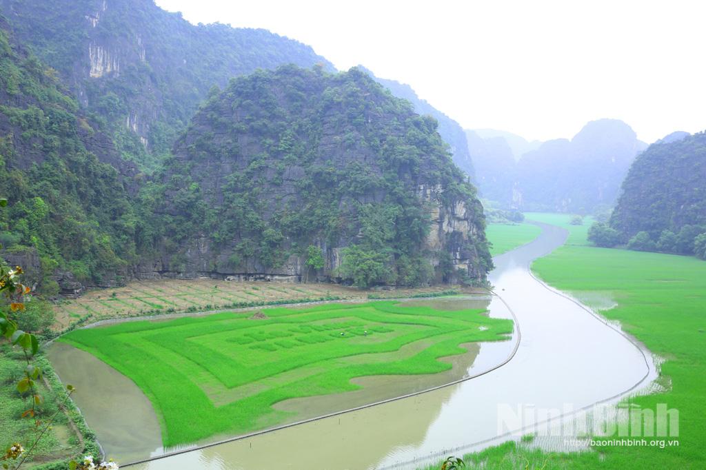 Ninh Binh to hold Tourism Week of "Yellow Colour of Tam Coc - Trang An" 2022
