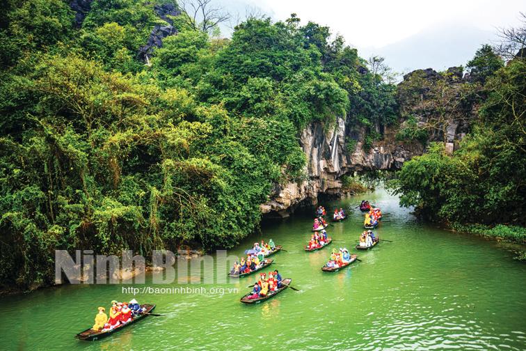 "Trang An" - key words frequently searched on Google