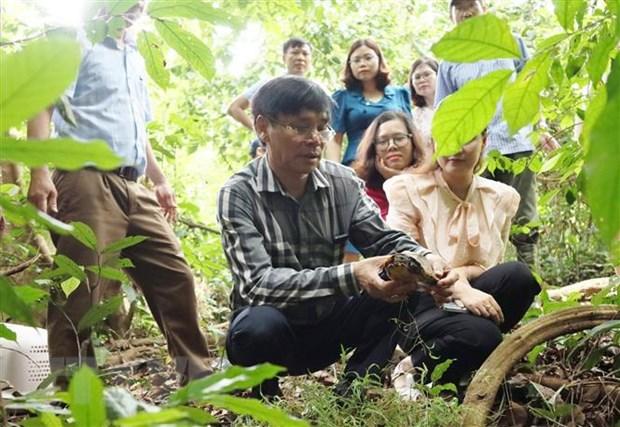 Wild animals released into Cuc Phuong National Park