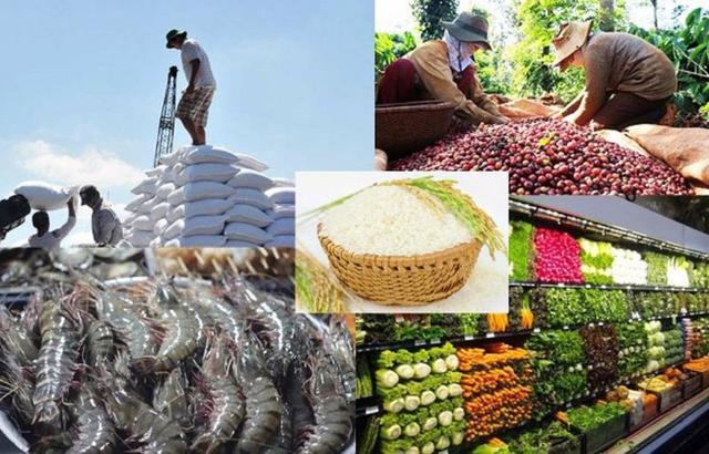 Agro-aquatic-forestry exports up 13% in eight months